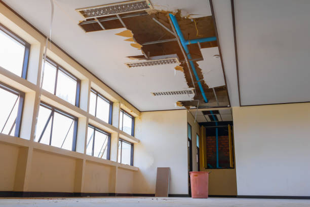 Best Local water damage restoration  in Gra Forks Af, ND