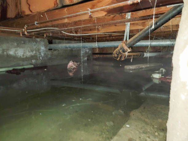 Best Ceiling water damage repair  in Gra Forks Af, ND