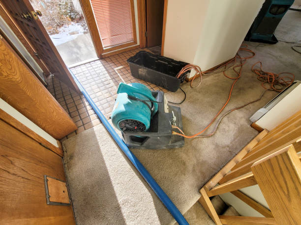 Best 24-hour water damage restoration  in Gra Forks Af, ND