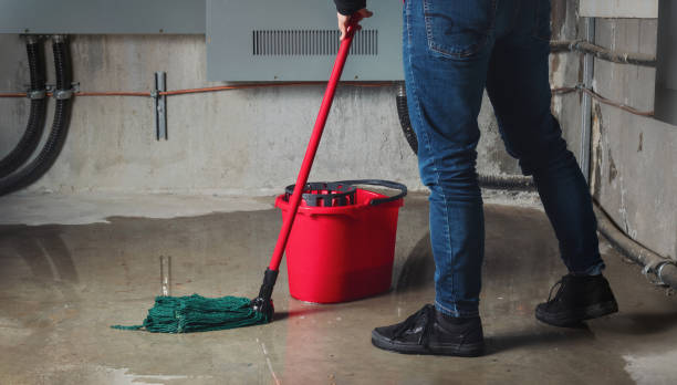 Best Professional water damage repair  in Gra Forks Af, ND