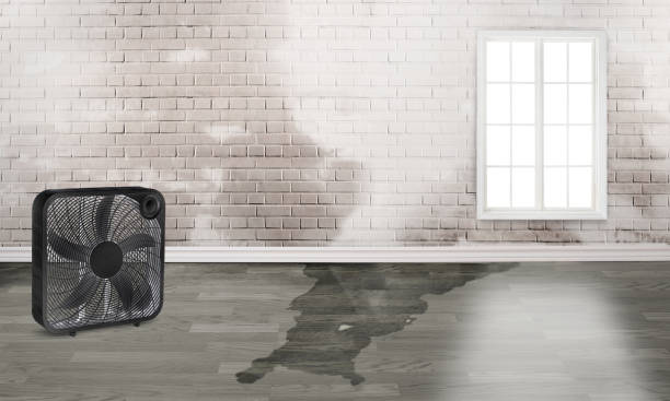 Best Water damage contractors near me  in Gra Forks Af, ND
