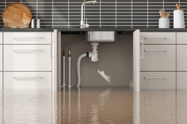 Best Fire Damage Restoration  in Gra Forks Af, ND