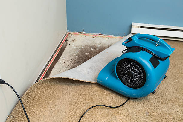 Best Carpet water damage restoration  in Gra Forks Af, ND