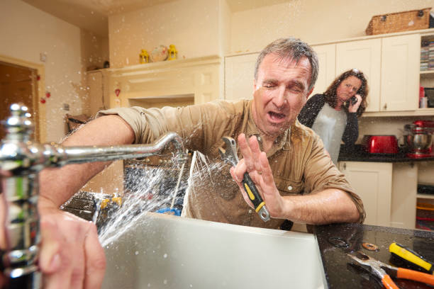 Best Water damage cleanup near me  in Gra Forks Af, ND